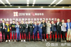 新城控股,崛起于中国房地产市场的领军企业