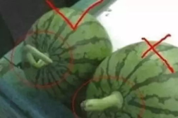 如何制作娱乐圈吃瓜素材
