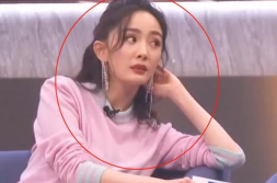 娱乐圈吃瓜公众号金晨,娱乐圈新晋“瓜王”，揭秘明星幕后故事