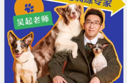 宠物专家,关爱宠物健康与行为智慧