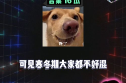 娱乐八卦吃瓜全集,揭秘明星幕后故事，吃瓜全集大揭秘