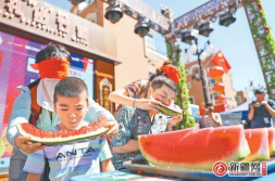 吃瓜娱乐区,揭秘明星幕后故事与八卦传闻