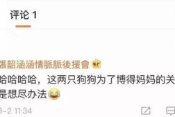 吃瓜娱乐常用bgm,跟随热门bgm，解锁吃瓜娱乐新境界