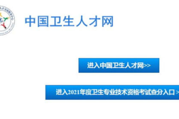 中国卫生人才网查询成绩官网入口,快速获取卫生人才考试成绩信息