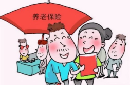 个人交养老保险,个人养老保险缴纳指南与常见问题解答
