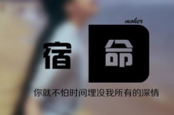 超酷网名,引领潮流的互联网生活新体验