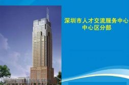 深圳市人才交流中心官网,一站式人才服务与交流平台概览