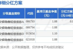 基金分红查询,全面解析查询方法与注意事项