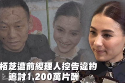 718娱乐吃瓜在线观看,吃瓜在线观看,带你领略娱乐热点