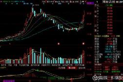 002074股票,小幅上涨,收盘价20.22元